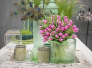 Jumbo_Pink_Hobaho_Beeldbank..(1)