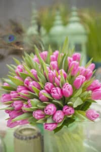 Jumbo_Pink_Hobaho_Beeldbank(1)