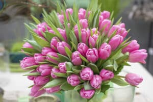 Jumbo_Pink_Hobaho_Beeldbank_2(1)
