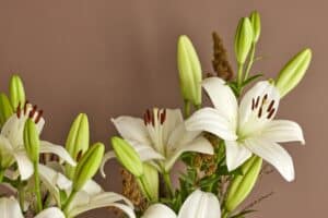 Lilium-Eyeliner-3151