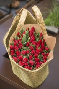 Strong Love_Hobaho Beeldbank 2