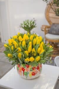 Strong_Gold_Hobaho_Beeldbank_4